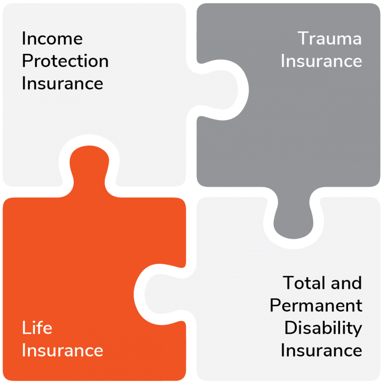 insurance graphic Agile Wealth